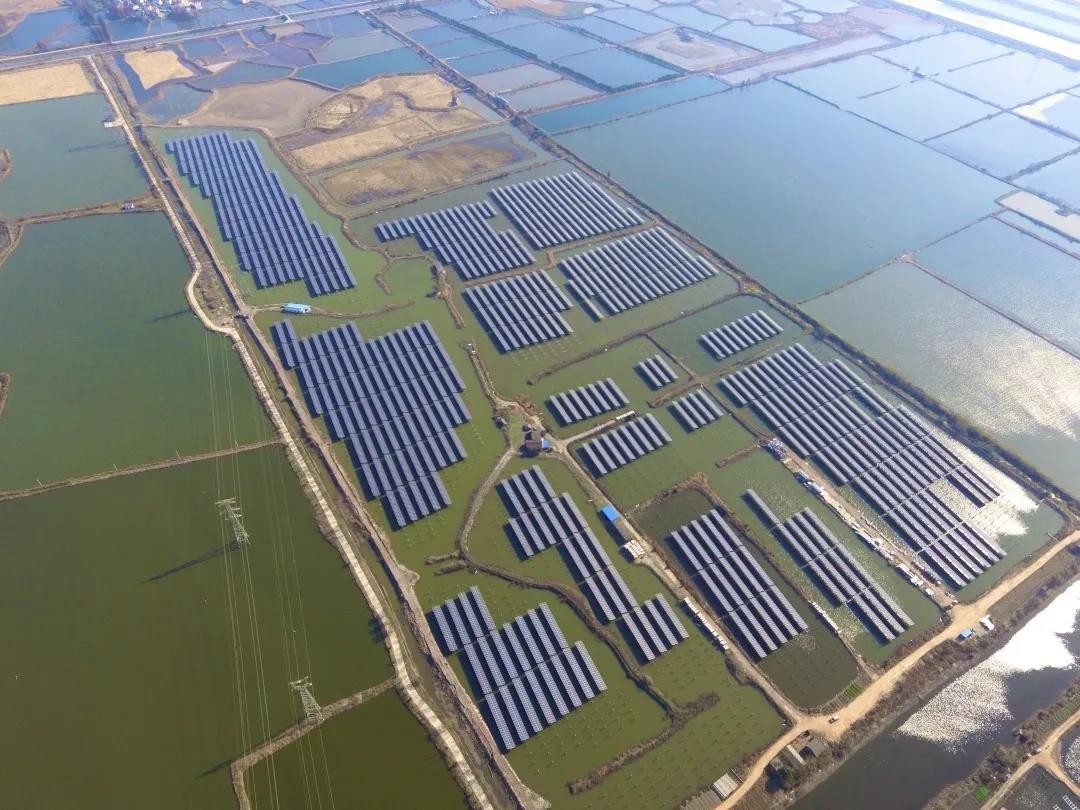 A Fishery-solar Masterpiece in the Watery Town - www.PT.comPT.com's 110 MW PV Project in Tongling, Anhui Province Successfully Connected to the Grid for Power Generation