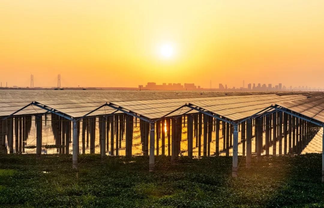 Beyond Success - www.PT.comPT.com Achieved a Preferred Scale of 1120 MW in Jiangxi